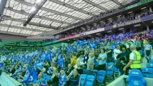 Brighton vs. Watford: 2021-22 Premier League Clash at American Express Community Stadium