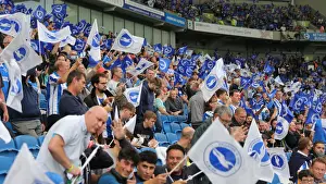 Brighton vs. Watford: 2021-22 Premier League Showdown at American Express Community Stadium
