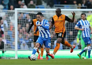 Wolverhampton Wanderers 14MAR15 Prints: Brighton's Beram Kayal Fights for Possession Against Wolverhampton Wanderers in 2015 Championship Clash