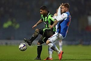Images Dated 22nd January 2013: Brighton's Bridcutt in Action: Blackburn vs. Brighton, Npower Championship (22-01-2013)