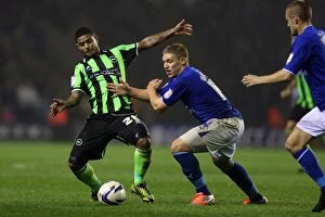 Images Dated 23rd October 2012: Brighton's Bridcutt in Action: Leicester Championship Clash (October 2012)