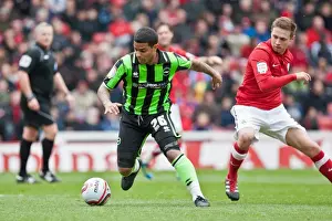 Barnsley 28-04-2012 Prints: Brighton's Bridcutt in Action: Npower Championship Clash at Barnsley (April 28, 2012)