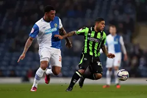 Blackburn Rovers - 22-01-2013 Prints: Brighton's Bridcutt Defends Against Kazim-Richards in Npower Championship Clash (Blackburn vs Brighton)