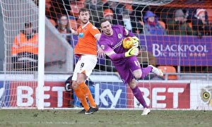 Images Dated 31st January 2015: Brighton's David Stockdale in Action: Sky Bet Championship Clash vs. Blackpool (31st January 2015)