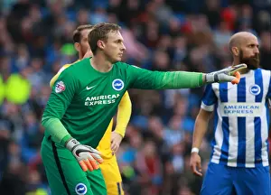 Brighton's David Stockdale in Action: Preston North End vs. Brighton & Hove Albion, Sky Bet Championship 2015