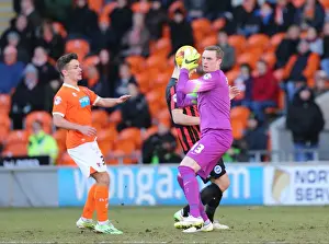 Blackpool 31JAN15 Prints: Brighton's David Stockdale in Action: Sky Bet Championship Clash vs