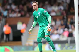 Fulham 15AUG15 Prints: Brighton's David Stockdale Focused During Fulham Clash in Sky Bet Championship (15-08-2015)