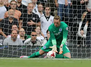 Fulham 15AUG15 Prints: Brighton's David Stockdale Saves in Fulham Championship Clash, August 2015
