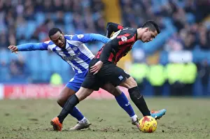 Sheffield Wednesday 14FEB15 Prints: Brighton's Kayal Battles in Sheffield Wednesday Championship Clash, 14FEB15