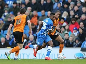 Images Dated 14th March 2015: Brighton's LuaLua in Action: Brighton and Hove Albion vs. Wolverhampton Wanderers