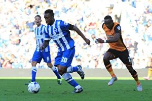 Images Dated 12th September 2015: Brighton's LuaLua Thunders Through American Express Community Stadium, Sky Bet Championship 2015