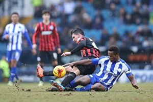 Images Dated 14th February 2015: Brighton's Sam Baldock Scores Against Sheffield Wednesday in Championship Clash, 14 February 2015