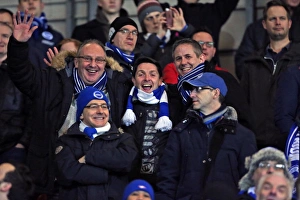 Ashton Gate Stadium Gallery: Bristol City v Brighton and Hove Albion Sky Bet Championship 23 / 02 / 2016