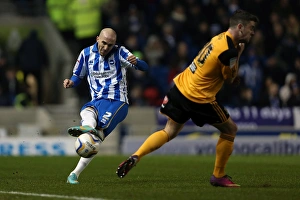Hull City - 09-02-2013 Prints: Bruno in Action: Brighton & Hove Albion vs
