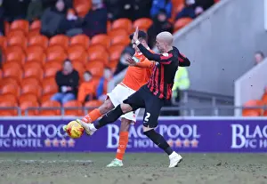 Blackpool 31JAN15 Prints: Bruno Saltor of Brighton and Hove Albion in Action against Blackpool (31Jan15)