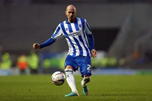 Bolton Wanderers - 24-11-2012 Prints: Bruno Saltor of Brighton & Hove Albion in Action against Bolton Wanderers