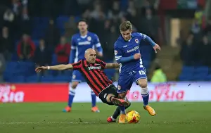 Cardiff City Prints: Bruno Saltor of Brighton and Hove Albion Faces Off in Championship Clash against Cardiff City (10FEB15)