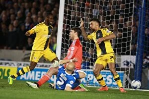 Images Dated 15th April 2016: Bruno Saltor Scores Stunner: Brighton and Hove Albion vs. Fulham, Sky Bet Championship 2016