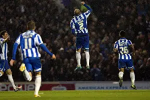 Bruno Saltor's Historic Goal: Brighton & Hove Albion's 1-0 Victory over Bolton Wanderers (November 24, 2012)