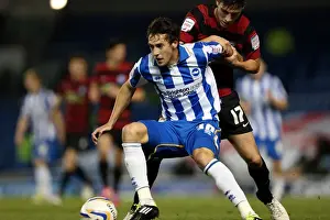 Peterborough United - 06-11-2012 Prints: Buckley Shields Ball in Intense Npower Championship Clash: Brighton & Hove Albion vs