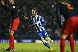 Goal Prints: Calderon Scores Dramatic Equalizer: Brighton and Hove Albion 2-2 Reading (December 2014)