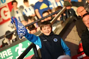 Capital One Cup: Walsall vs. Brighton & Hove Albion at Bescot Stadium (25/08/2015)