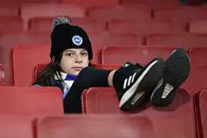 Carabao Cup Clash: Arsenal vs. Brighton & Hove Albion at Emirates Stadium (09.11.22)