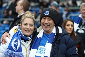 Images Dated 10th November 2018: Cardiff City v Brighton and Hove Albion Premier League 10NOV18