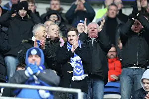Cardiff City v Brighton and Hove Albion Sky Bet Championship 20 / 02 / 2016