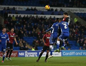 Images Dated 10th February 2015: Cardiff City vs. Brighton & Hove Albion: Intense Championship Clash at Cardiff City Stadium