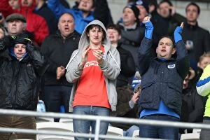 Images Dated 20th February 2016: Cardiff City vs. Brighton and Hove Albion: Sky Bet Championship Clash at Cardiff City Stadium
