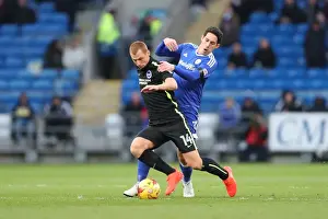 Cardiff vs. Brighton: Championship Showdown at Cardiff City Stadium (03DEC16)
