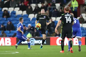 Cardiff vs. Brighton: EFL Sky Bet Championship Showdown at Cardiff City Stadium (03DEC16)