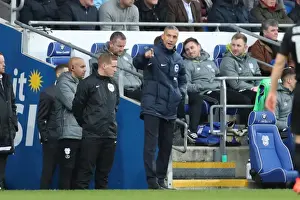 Cardiff vs. Brighton: EFL Sky Bet Championship Showdown at Cardiff City Stadium (03DEC16)