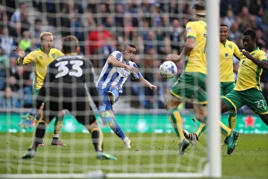 Championship Clash: Brighton & Hove Albion vs. Norwich City (29Oct16) - American Express Community Stadium