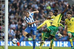 Championship Clash: Brighton & Hove Albion vs. Norwich City (29Oct16) - American Express Community Stadium