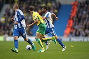 Images Dated 29th October 2016: Championship Clash: Brighton & Hove Albion vs. Norwich City (29OCT16)