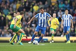 Images Dated 29th October 2016: Championship Clash: Brighton & Hove Albion vs. Norwich City (29OCT16)