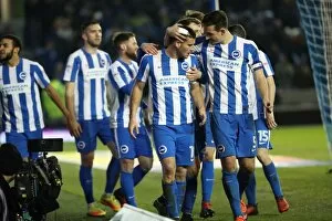 Images Dated 24th January 2017: Championship Clash: Brighton and Hove Albion vs. Cardiff City (January 2017)