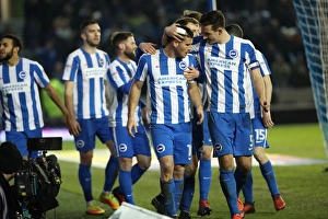 Championship Clash: Brighton and Hove Albion vs. Cardiff City (January 2017)