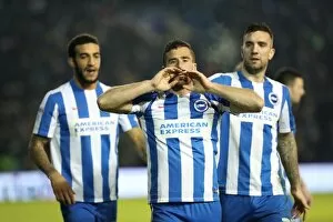 Images Dated 24th January 2017: Championship Clash: Brighton and Hove Albion vs. Cardiff City (24th January 2017)