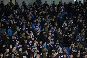 Cardiff City Prints: Championship Clash: Brighton and Hove Albion vs