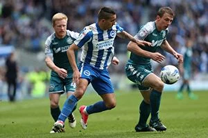Images Dated 17th April 2017: Championship Clash: Brighton and Hove Albion vs. Wigan Athletic at American Express Community