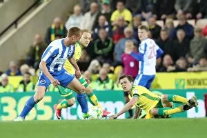 Images Dated 21st April 2017: Championship Clash: Brighton and Hove Albion vs. Norwich City at Carrow Road (21APR17)