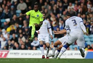 Images Dated 17th October 2015: Championship Clash: Leeds United vs. Brighton & Hove Albion (17th October 2015)