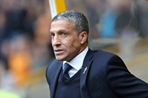 Championship Clash: Wolverhampton Wanderers vs. Brighton and Hove Albion at Molineux Stadium (14th April 2017)