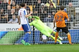 Images Dated 14th April 2017: Championship Clash: Wolverhampton Wanderers vs. Brighton and Hove Albion at Molineux Stadium