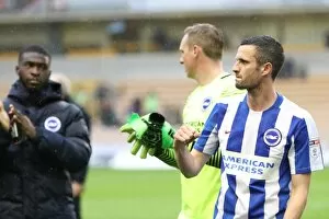 Images Dated 14th April 2017: Championship Clash: Wolverhampton Wanderers vs. Brighton and Hove Albion at Molineux Stadium