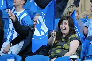 Sheffield Wednesday Play-off 2nd Leg 16MAY16 Prints: Championship Play-Off Showdown: Brighton & Hove Albion vs Sheffield Wednesday (16 May 2016)
