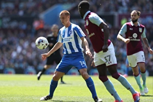Championship Showdown: Aston Villa vs. Brighton and Hove Albion at Villa Park (07MAY17)